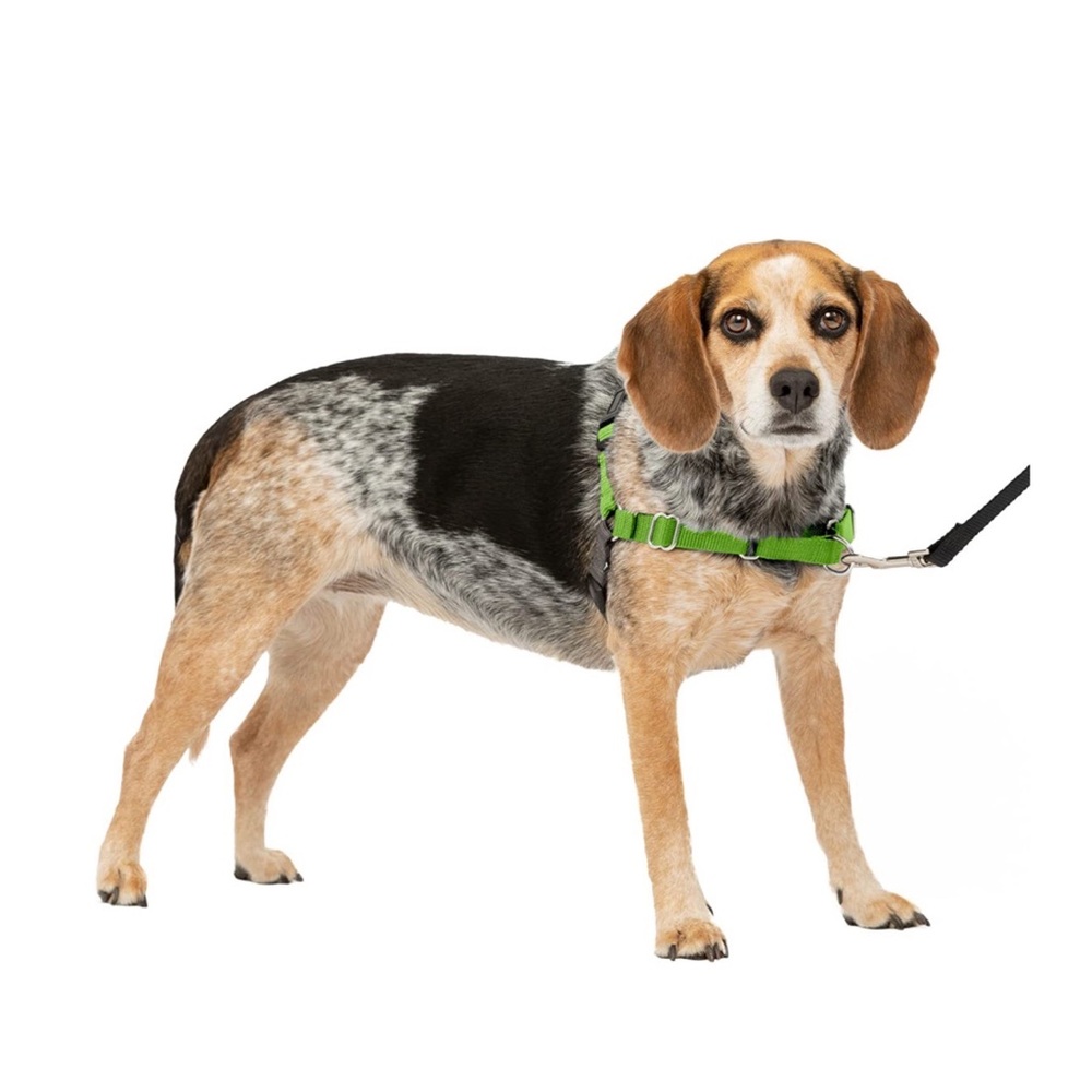 Petsafe No Pull Dog Harness